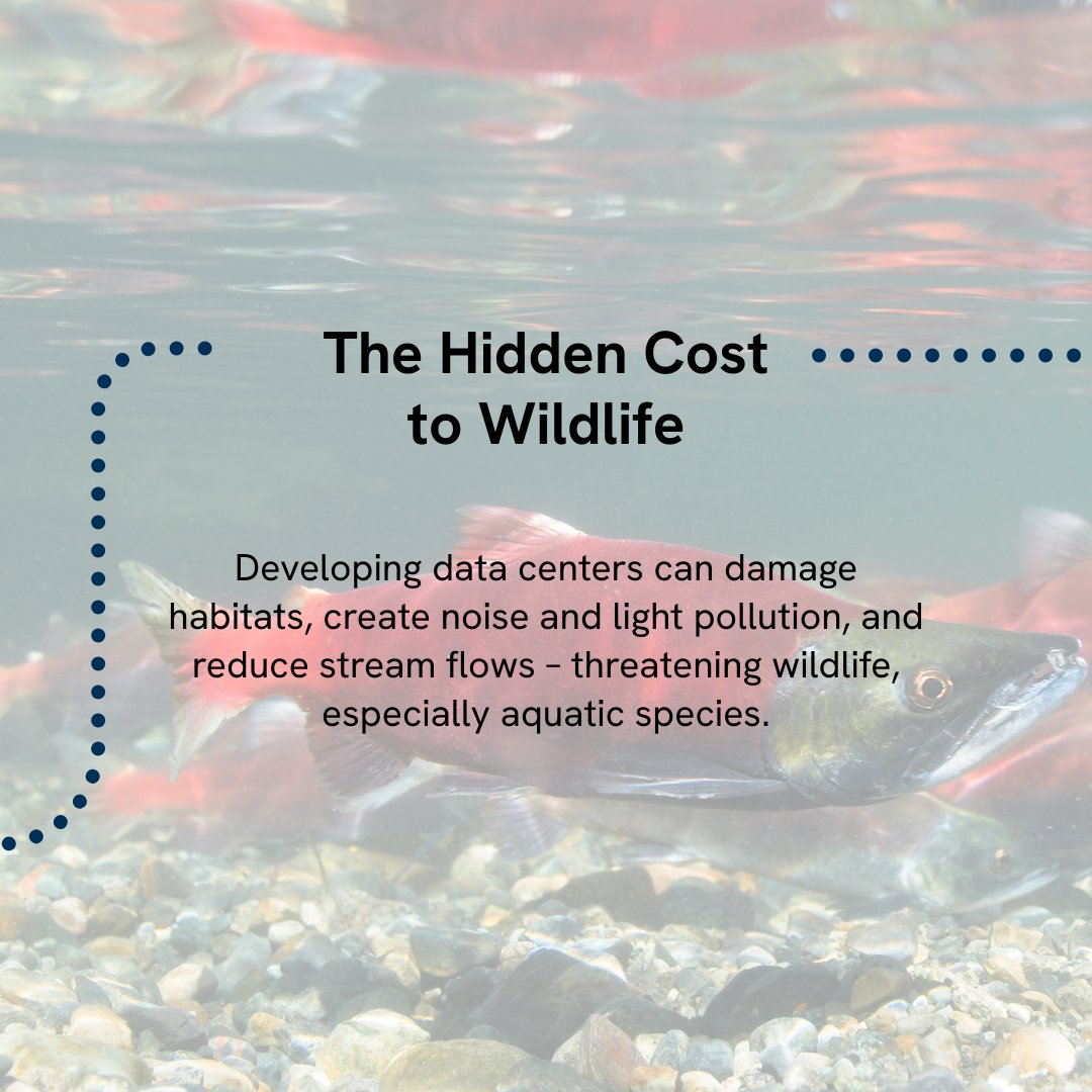 National Wildlife Federation tweet media