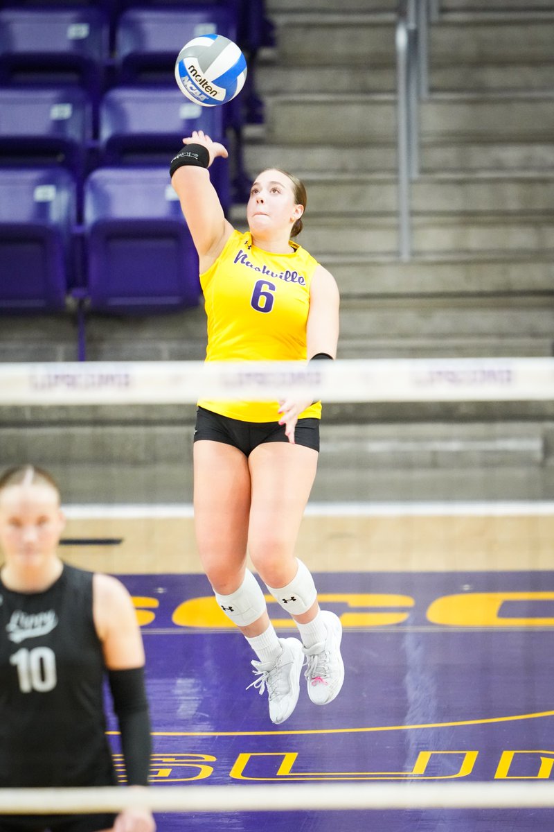 Lipscomb Volleyball tweet media