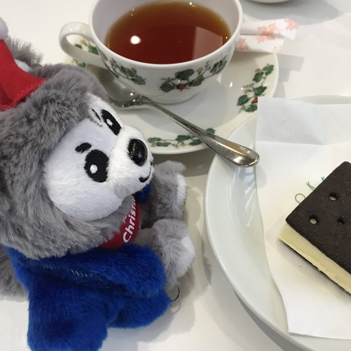 shijimi_09999's tweet photo. 2018年の思い出。
青もふもふどこ行ったかな… https://t.co/uAdiUxkTfe