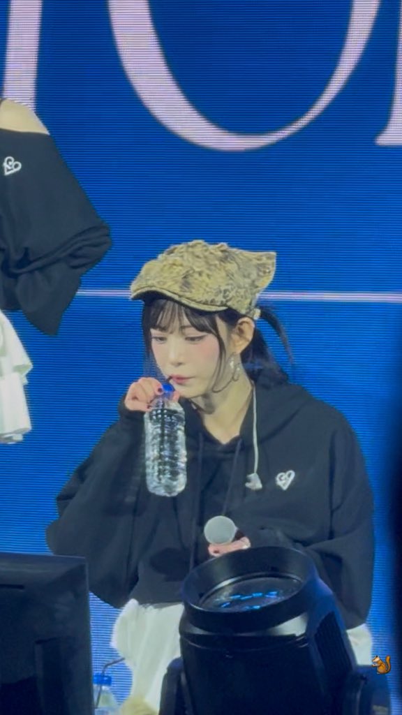 피노키오 tweet media