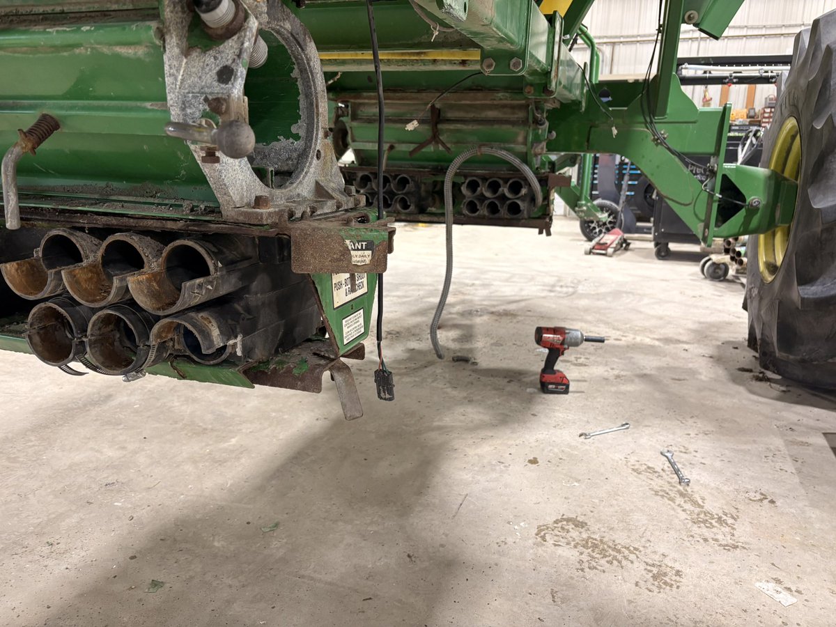 Andrew Kippen tweet media