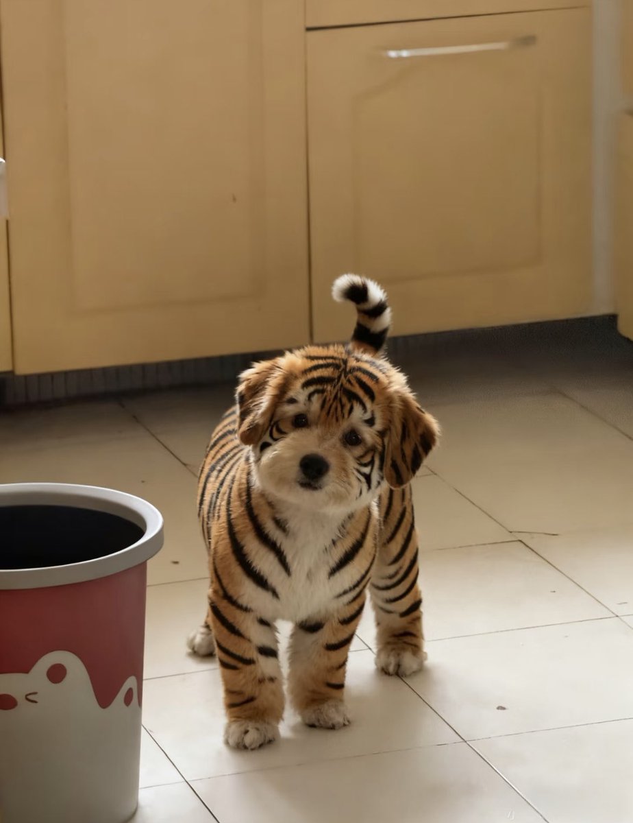 waitingwang tweet media