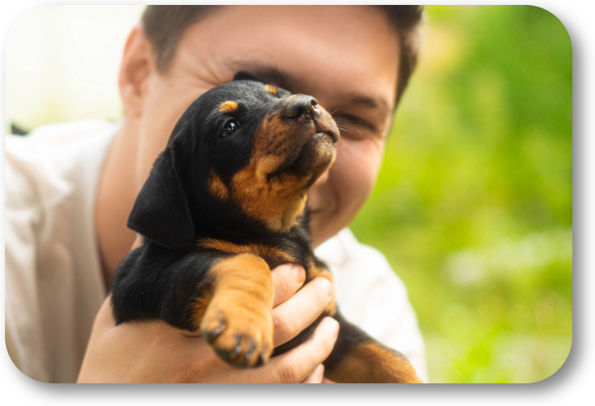 NoGaDogTraining's tweet photo. Why Should Socialization Be a Priority in My Puppy’s Training Plan? Begin to socialize your puppy with the world around him as soon as you can. #dogtraining #dogtrainer #homedogtraining #obediencetraining https://t.co/h2uIIrDDXy https://t.co/v6VFv4F7WN