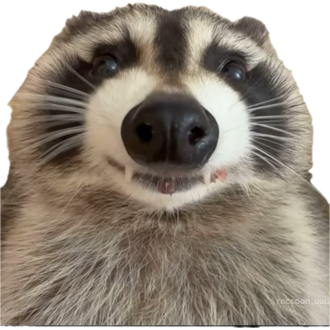 🕸️Stream Off Vendredi 30/01🕷️

Jour de repos aujourd’hui ! On se retrouve demain pour le prochain live !☺️

Des bisous ! 🦝