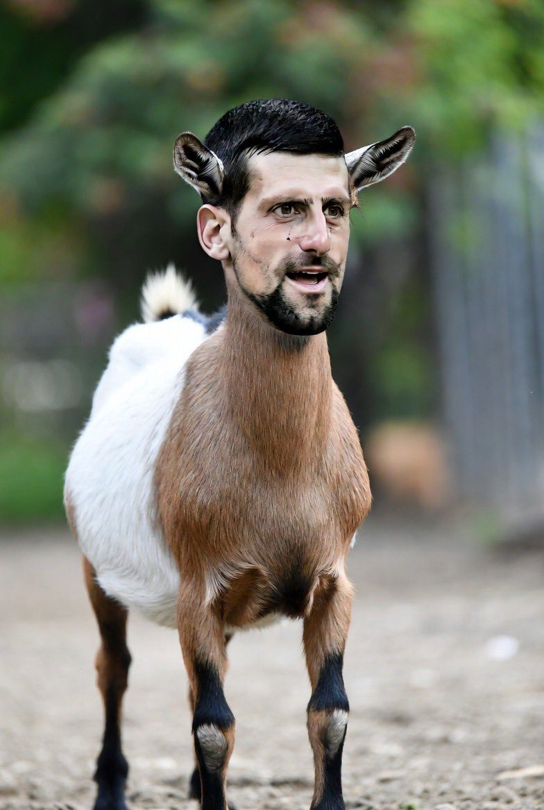 <a href="/DjokerNole/">Novak Djokovic</a> <a href="/AustralianOpen/">#AusOpen</a> The 🐐