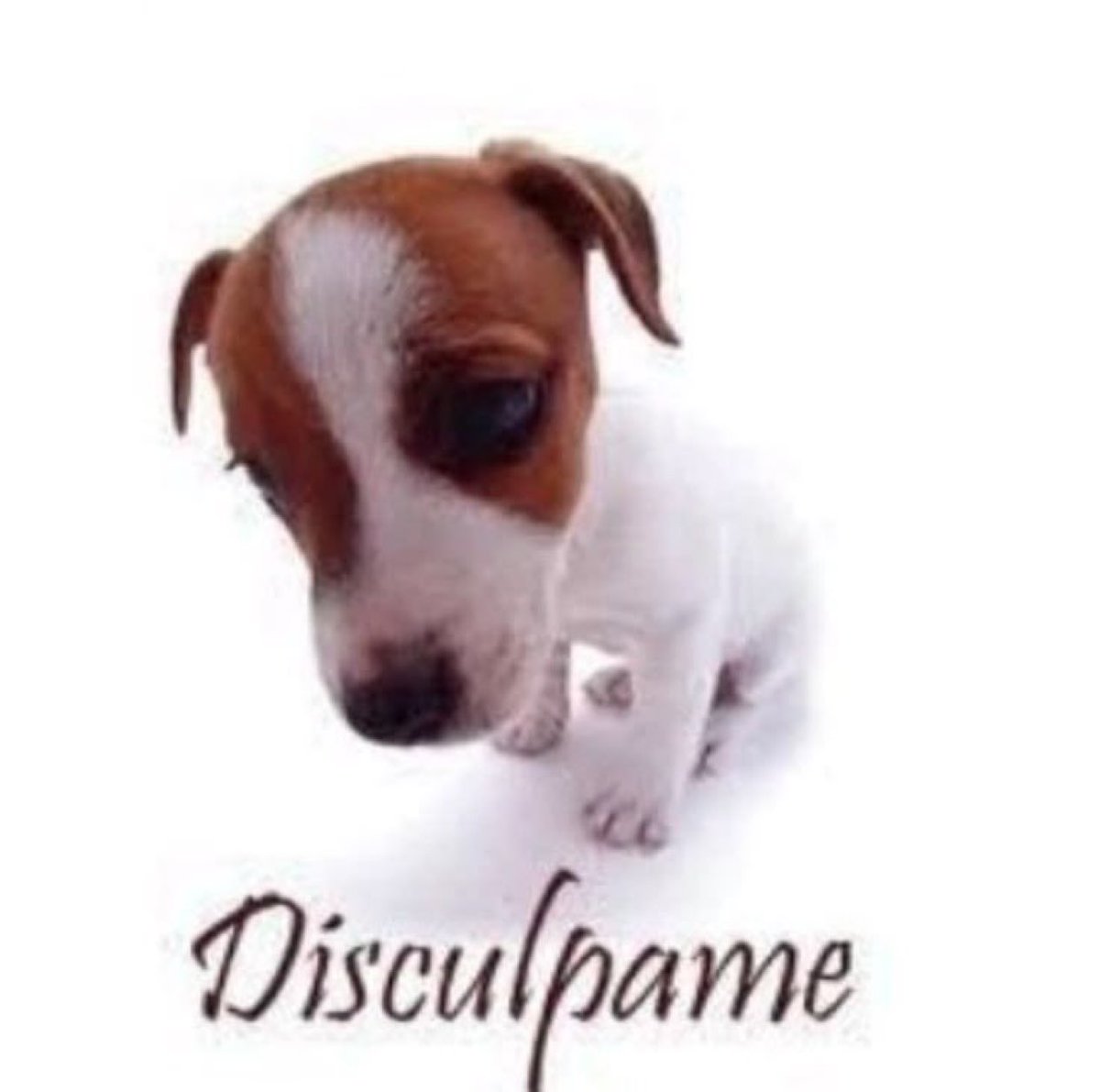 me da vergüenza q me haga ruido la panza cuando estoy con gente aunque no m escuchen o eso creo...