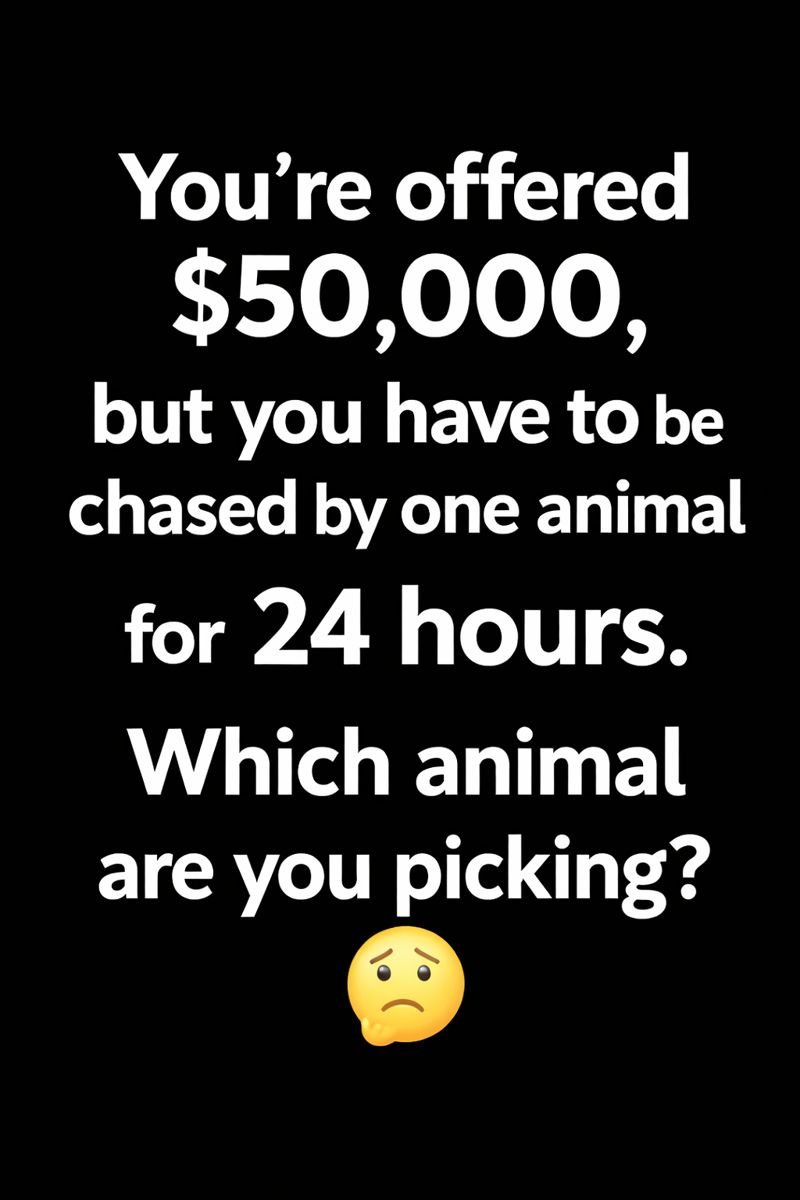 💕Mide💕 tweet media