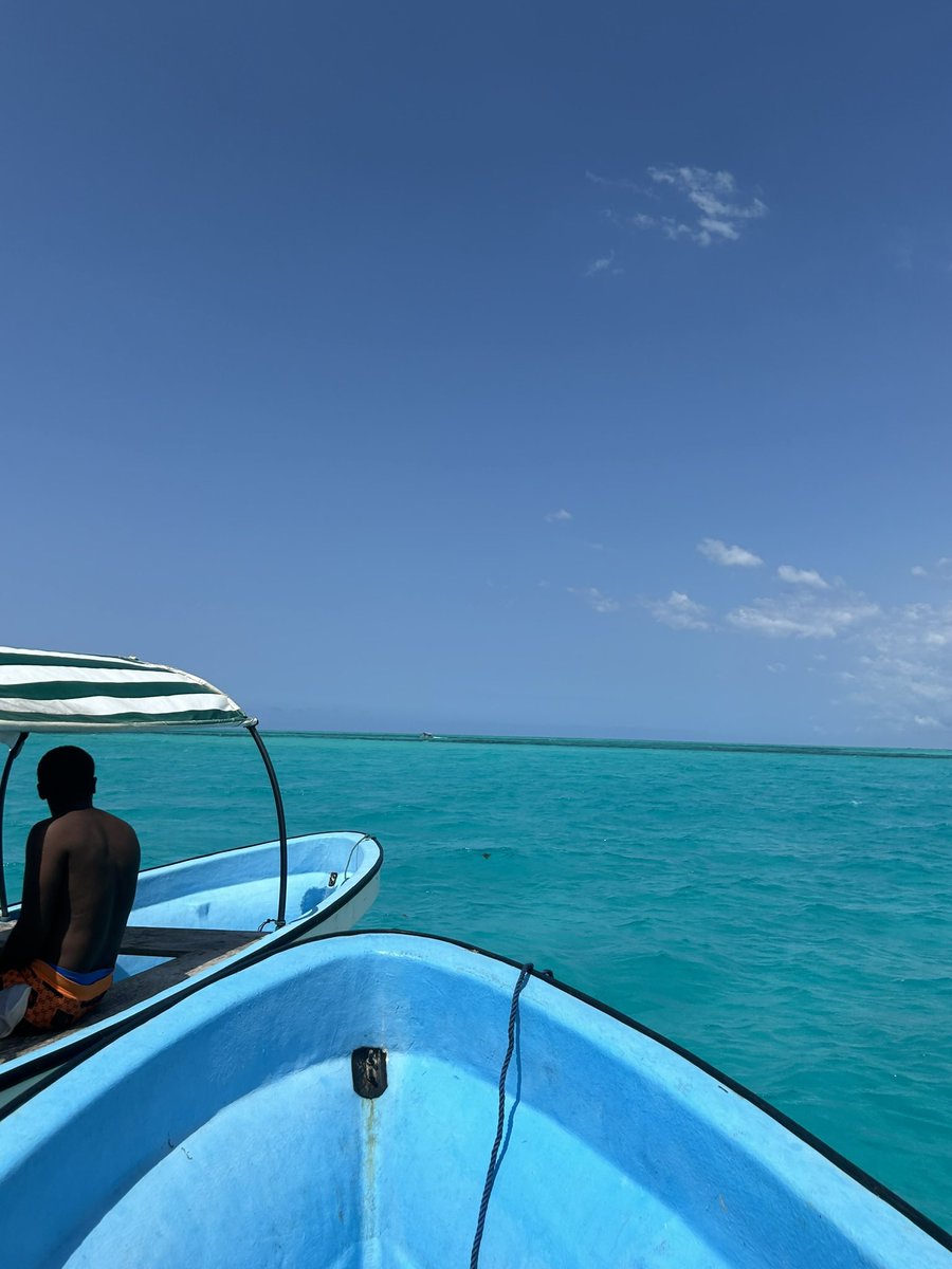 sirine__hjj's tweet photo. Zanzibar, Maroc, Crête https://t.co/jvLFxl8gyY