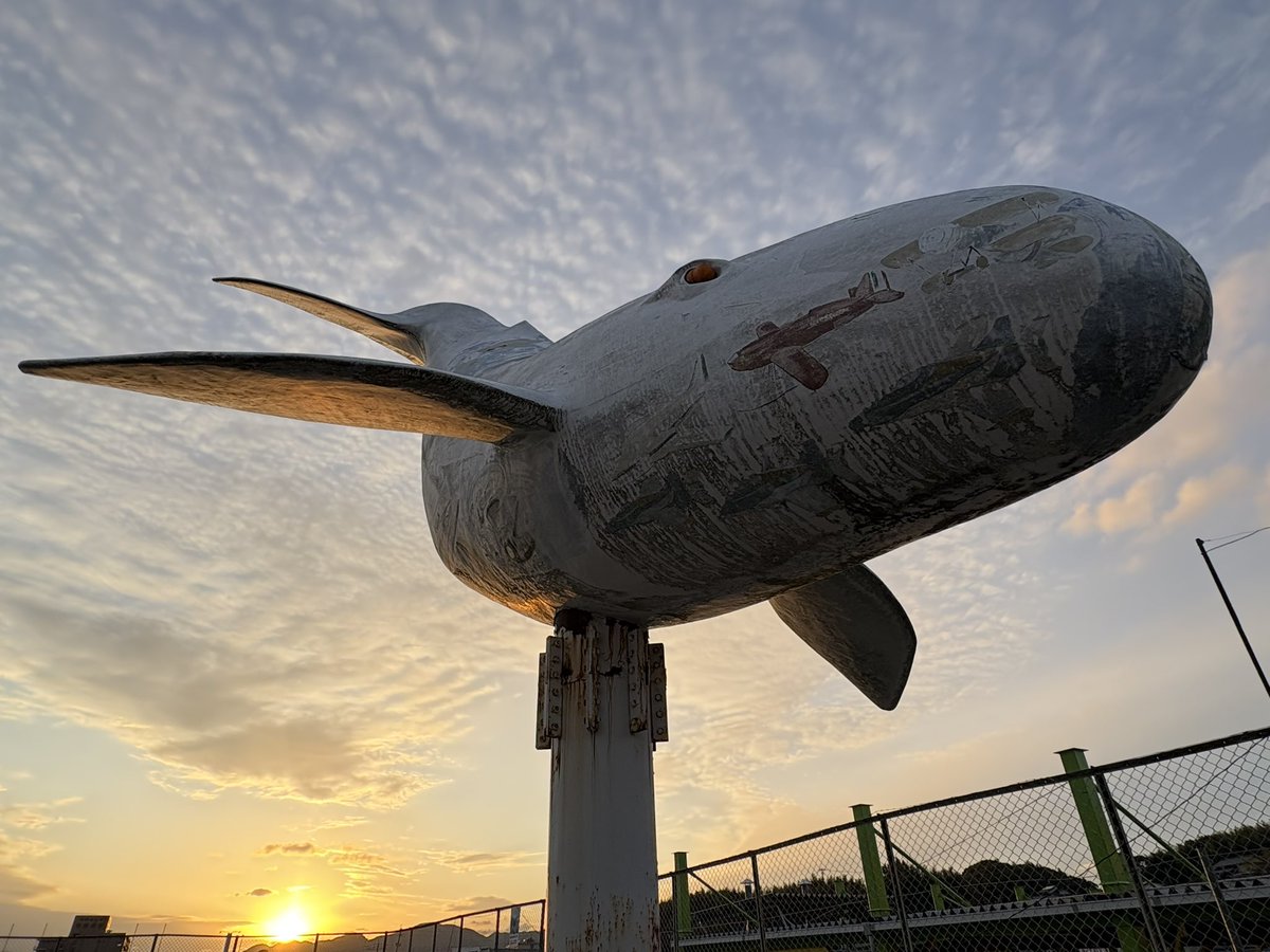 1月31日（土）、2月1日（日）  
店舗の営業致します。 
（開12:00～17:00閉）