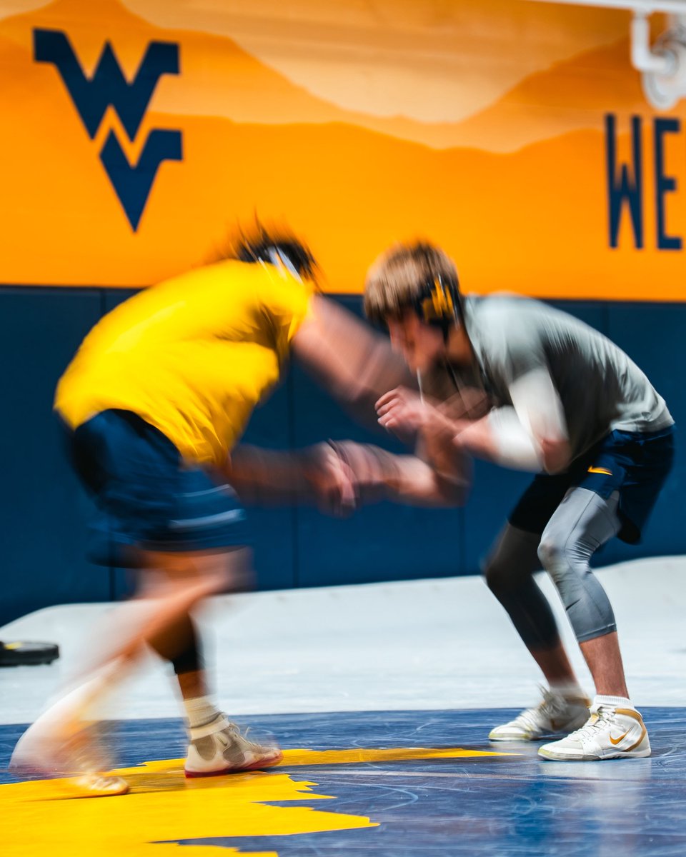WVU Wrestling tweet media