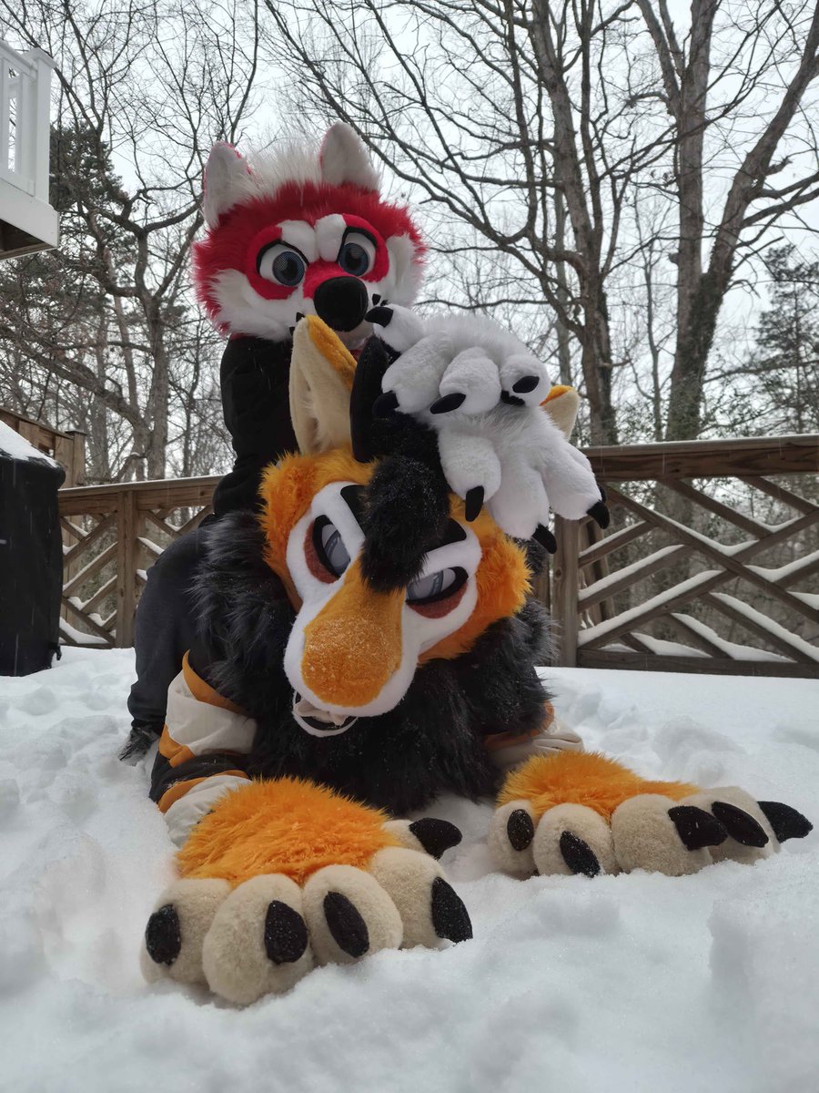 Keeping dogs warm in the snow ~ 💨
<a href="/kaidoggo/">loser💛💜🖤</a> 

#FursuitFriday