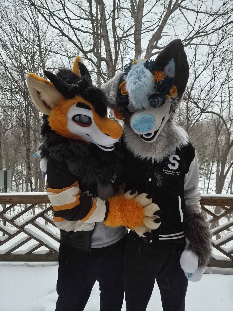 TremorByte's tweet photo. Keeping dogs warm in the snow ~ 💨
@kaidoggo 

#FursuitFriday https://t.co/JBq0clw9Kg