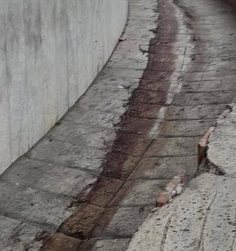 •پسر نیچه• tweet media