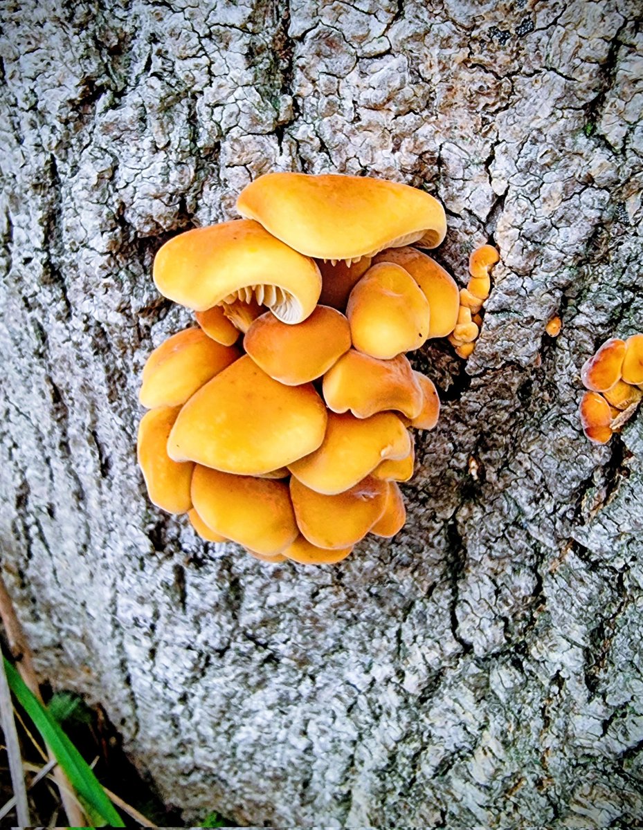 Martin Paterson 🏴󠁧󠁢󠁳󠁣󠁴󠁿 tweet media