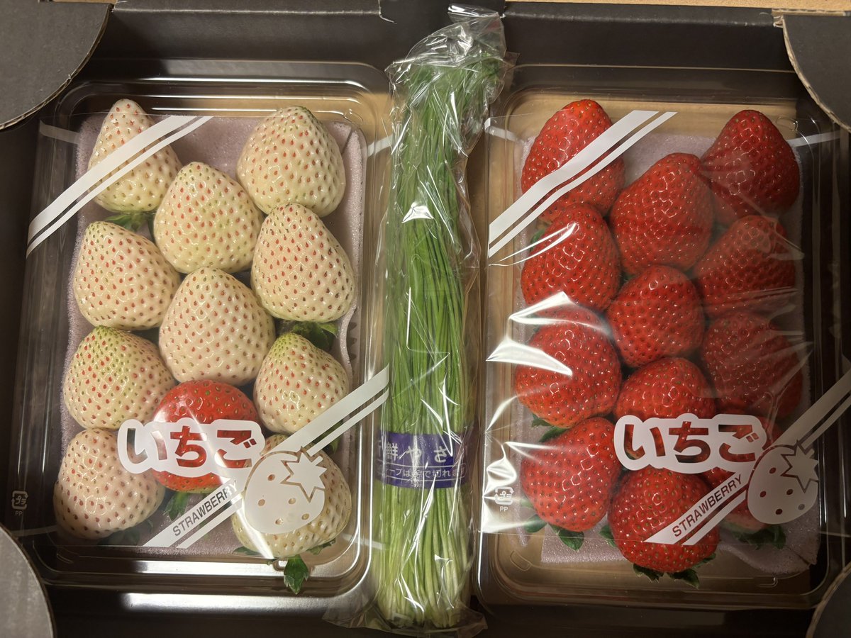 苺風様♡ありがとうございます♡ 苺風様♡ありがとうございます♡ いちご🍓🍙 (@G6rZs_Ichigo) / Posts / X