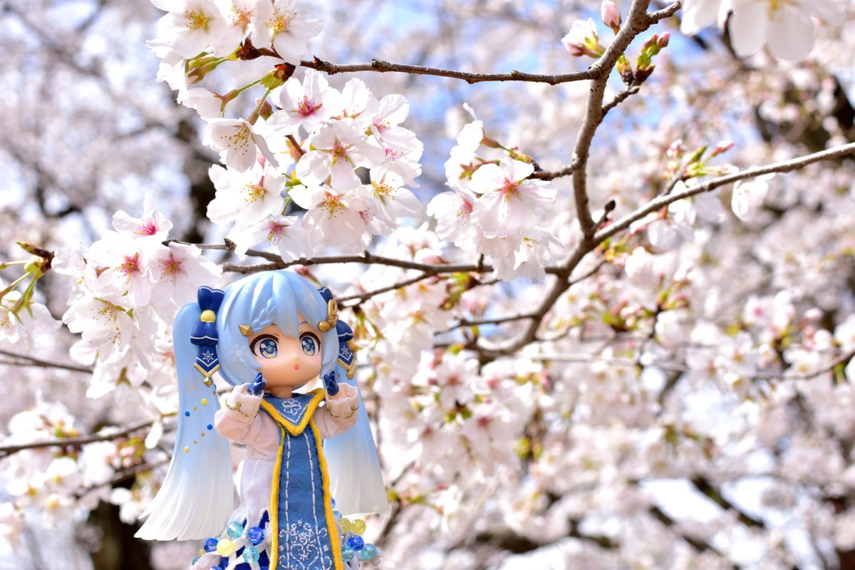 深夜のねんどろ撮影60分一本勝負 【1/30のお題 ぴんく】【遅刻】【既出