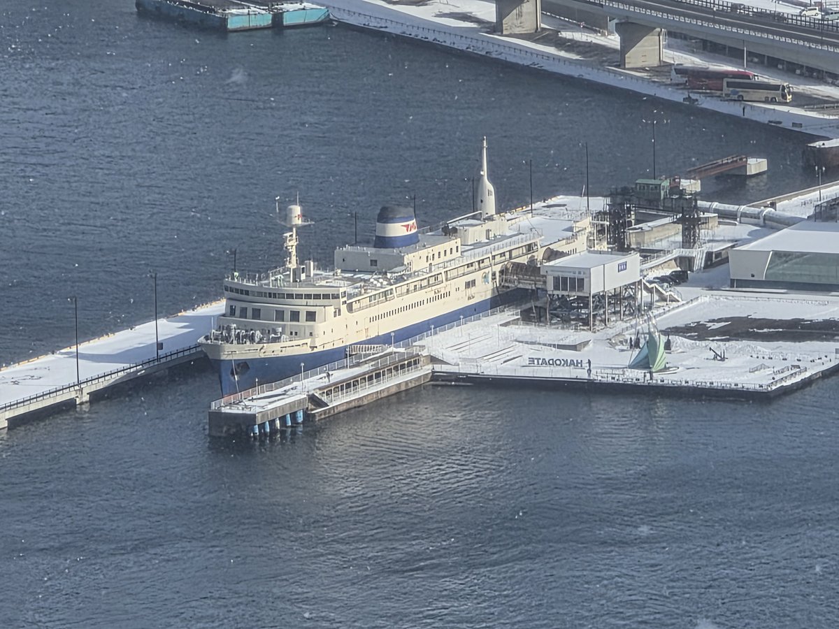 Loliaster's tweet image. ウオー100万ドルの夜景の10時間前！
朝一で函館山登ったけどマジで風強かったし寒いな
摩周丸もよく見える！