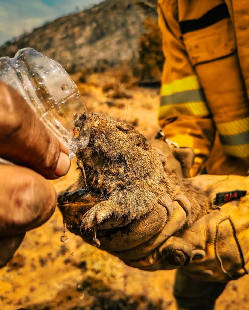 Cholila - Chubut - Patagonia 🔥🇦🇷
😭