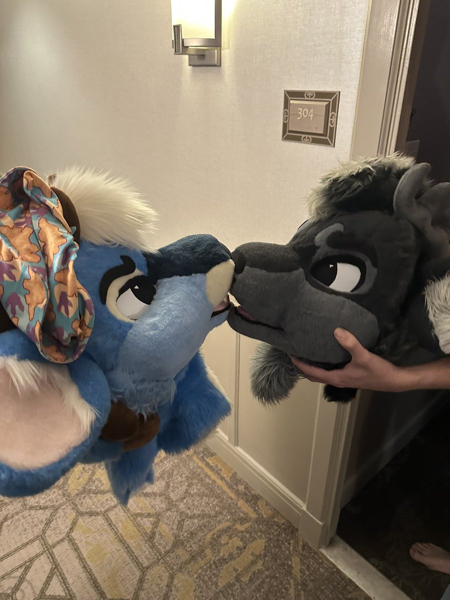 BLUEBERRY 🔜 MEGAPLEX tweet media