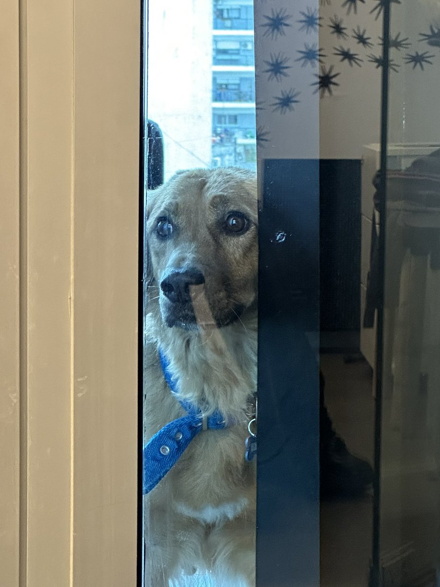 Katii 🌰🇦🇷 tweet media