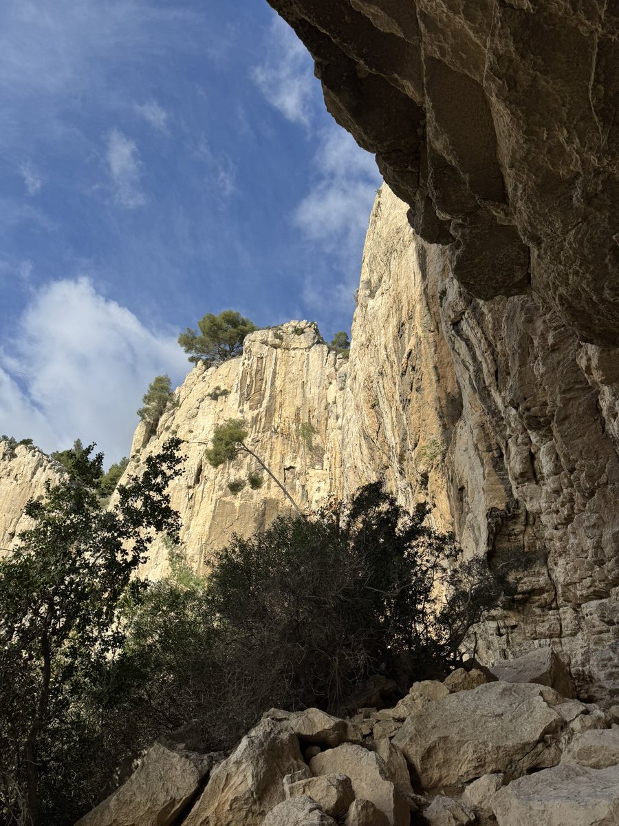 me suis baladé pendant 6h avec un collègue dans les calanques, nan jvous jure quelle grâce d’avoir ça à quelques minutes du taff