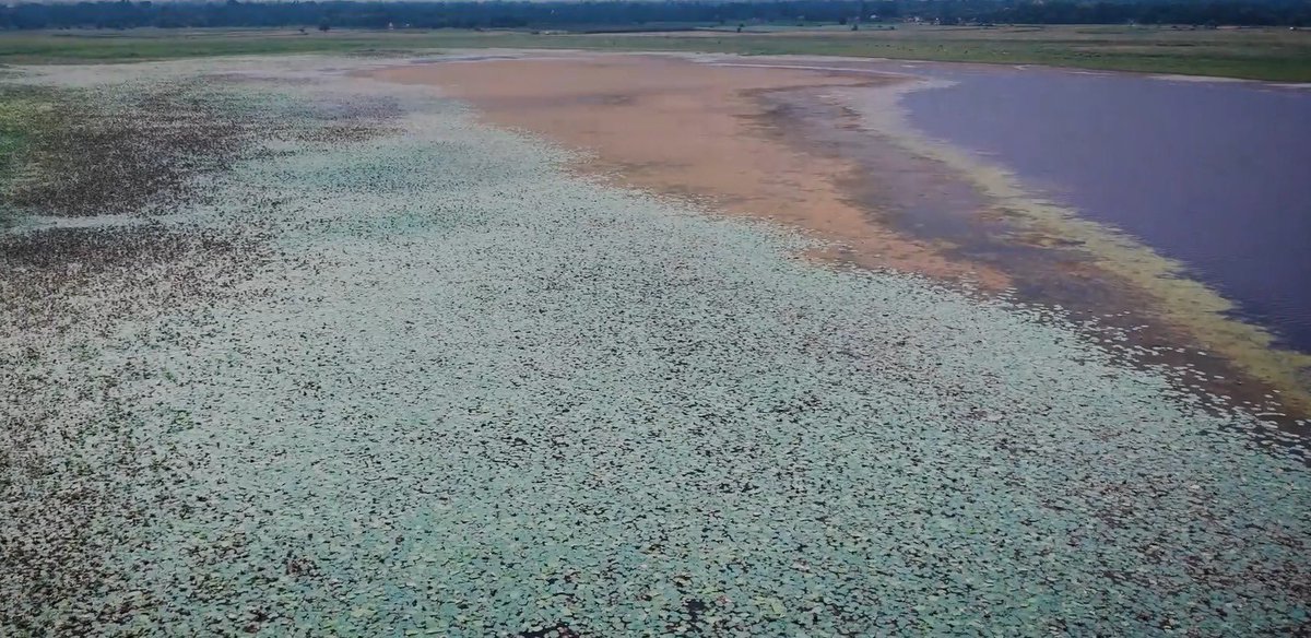 Kirti Vardhan Singh tweet media