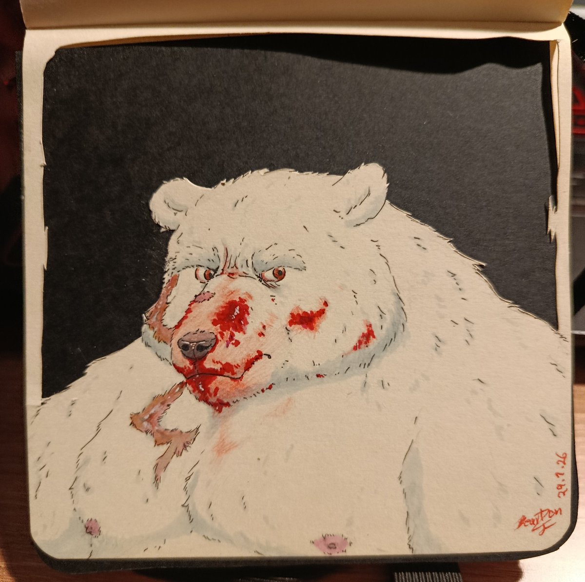 Nanuk Qingaq Kanniq 🐻‍❄️🔴

Wild polar bear after the hunt.