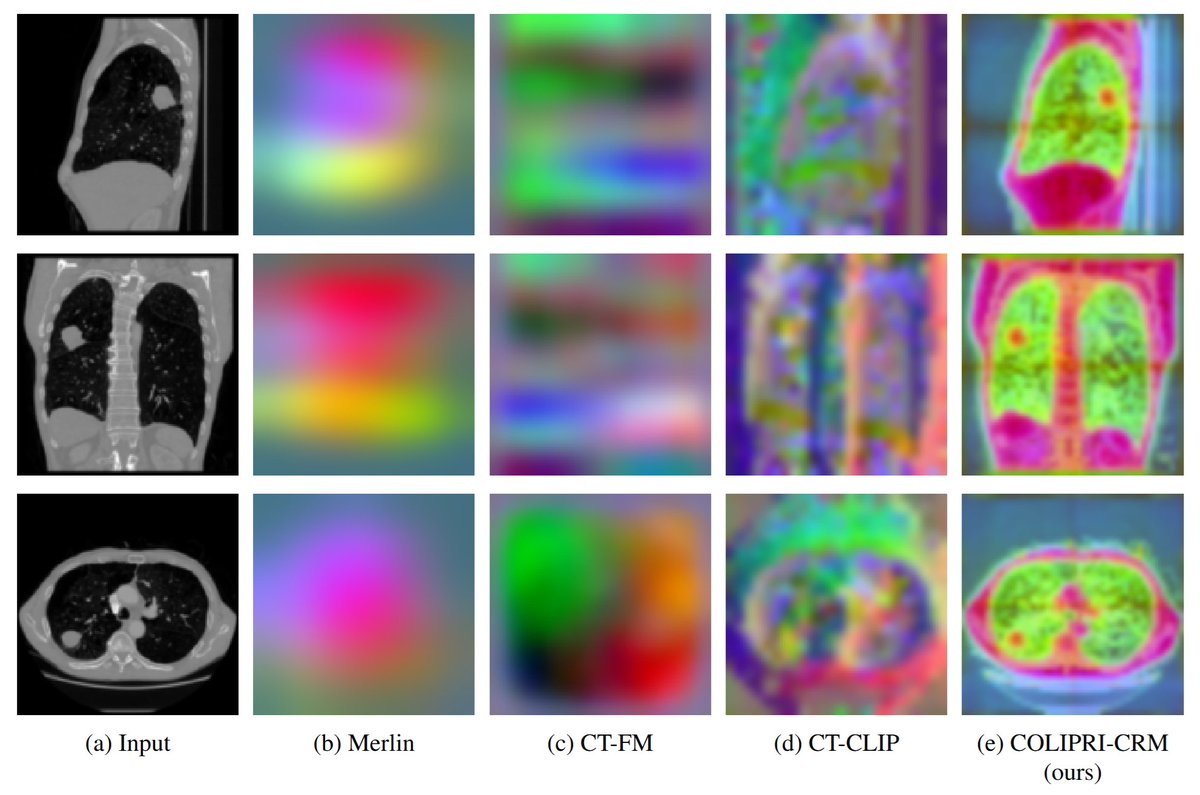 Fernando Pérez-García tweet media