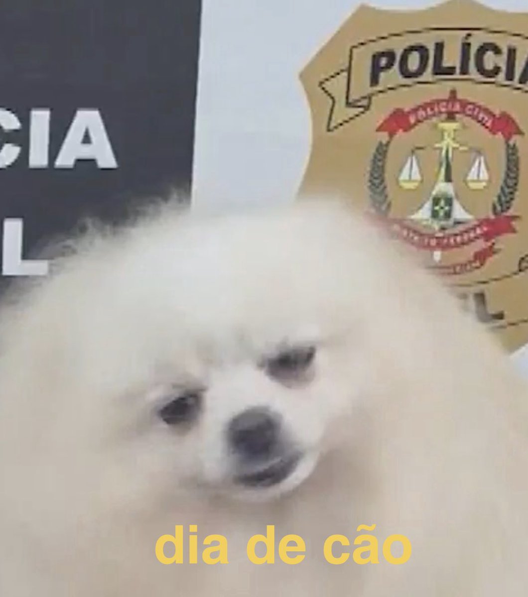 itimaliasof's tweet image. 