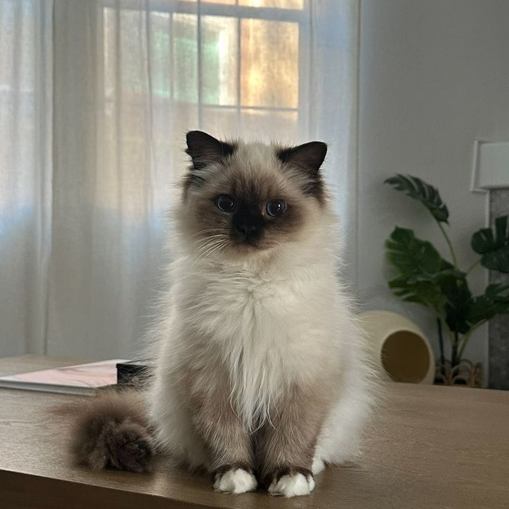 IsartMysoul's tweet image. 