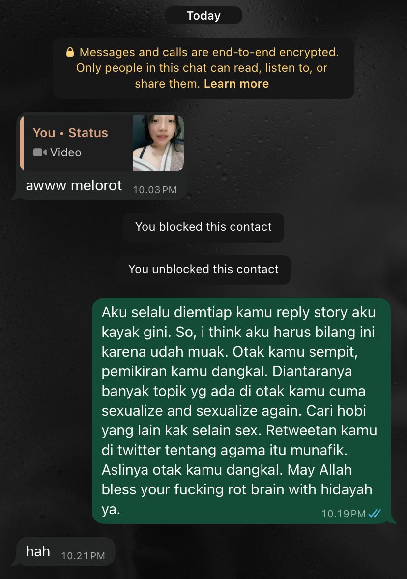 dina tweet media