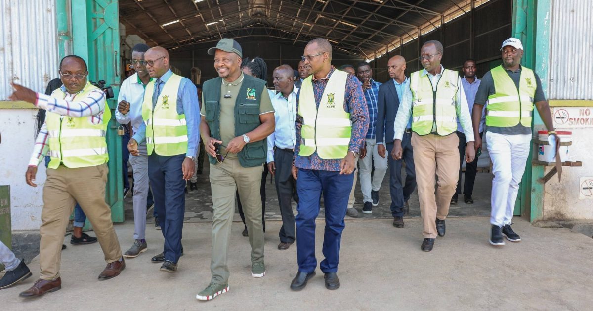 Olemutai tweet media