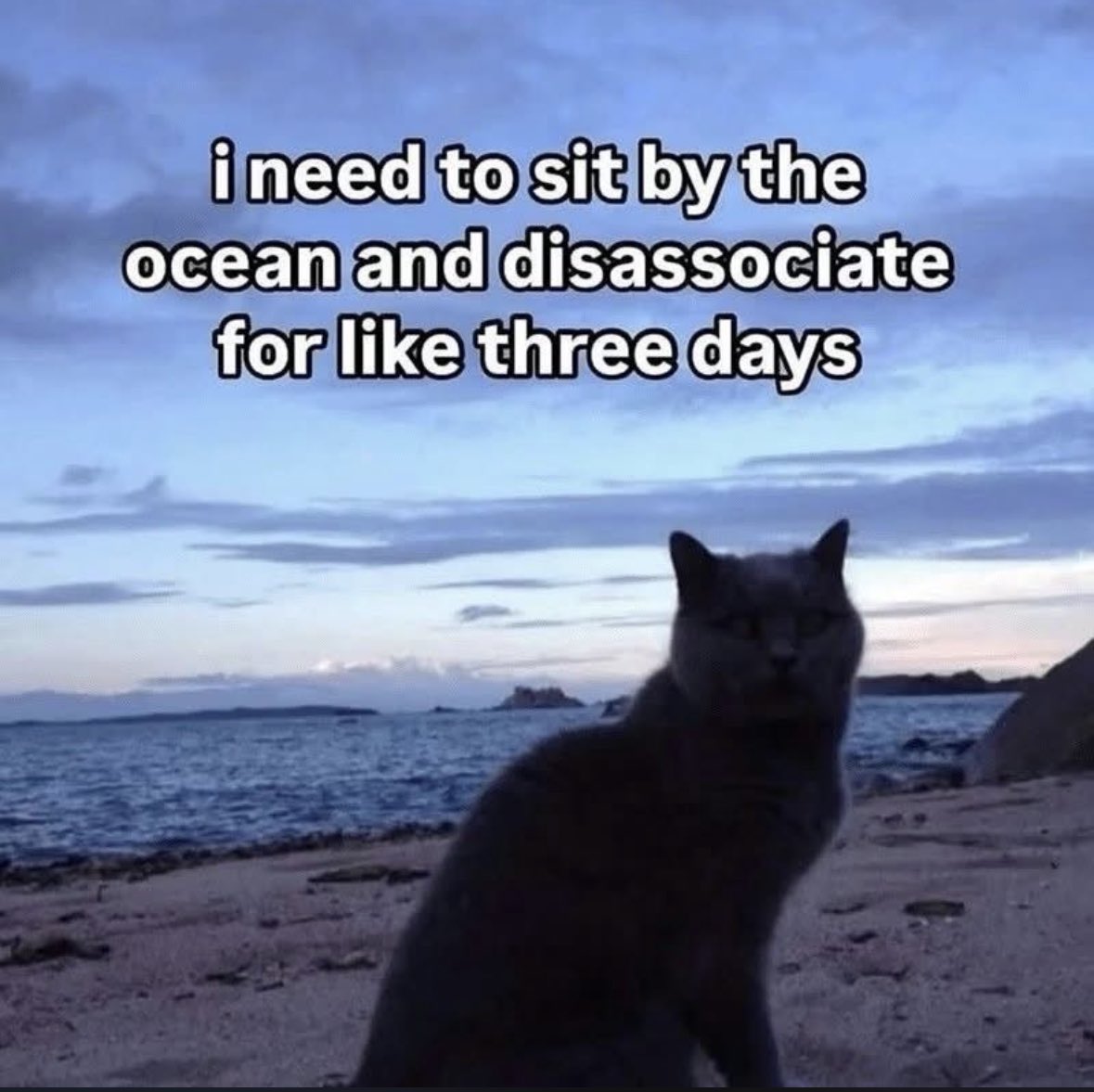 ADHDForReal's tweet image. 