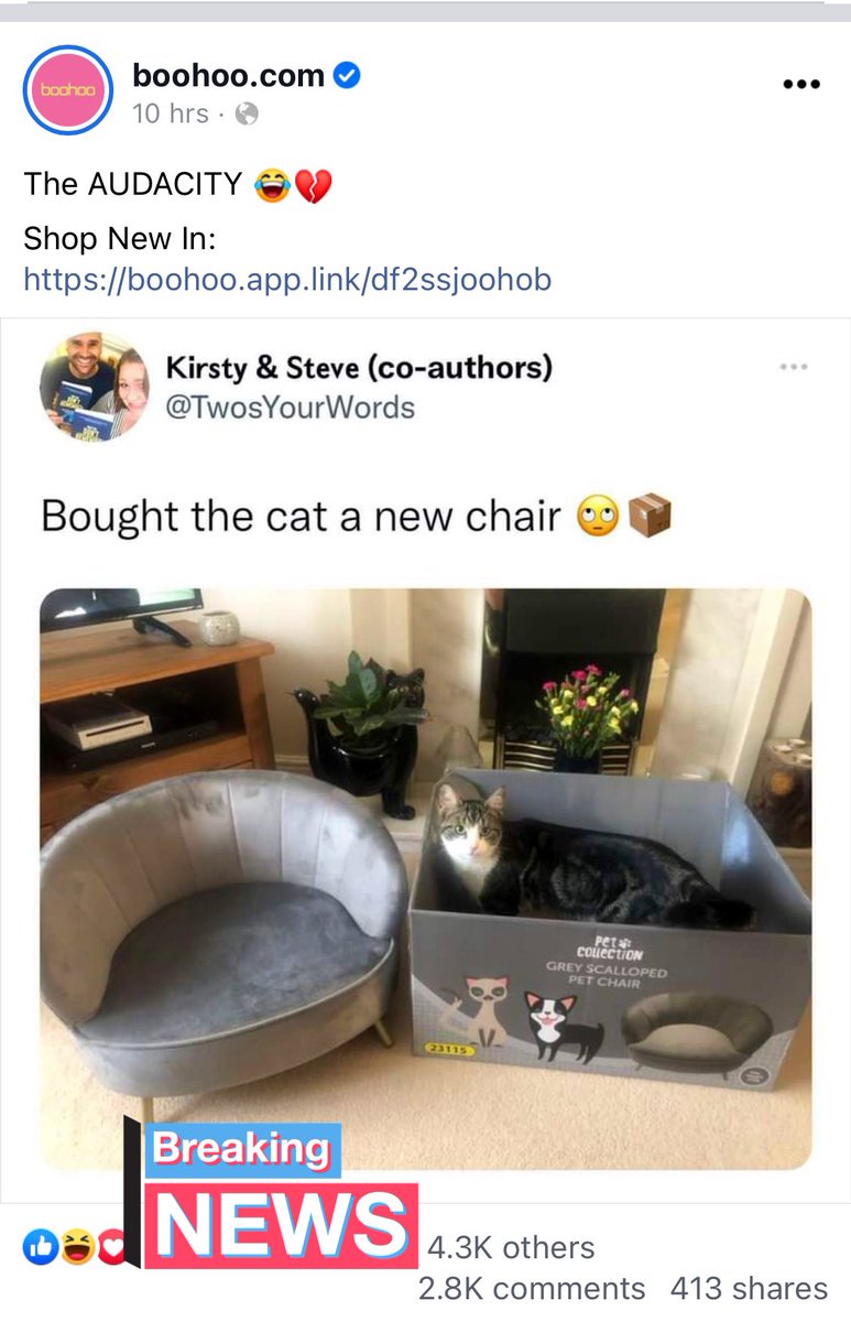 The cat’s reaction when we told him that nearly 4 years on, people are still sharing the tweet about him and his new chair.