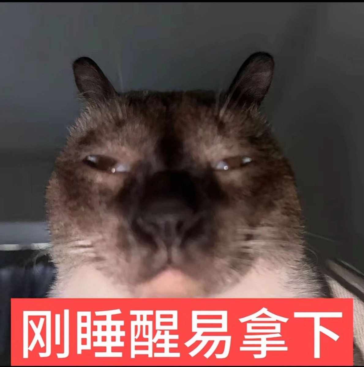 HeWuEi's tweet photo. 线稿练习meow
#英雄联盟 #塞拉斯 https://t.co/pg4sIoCo5v