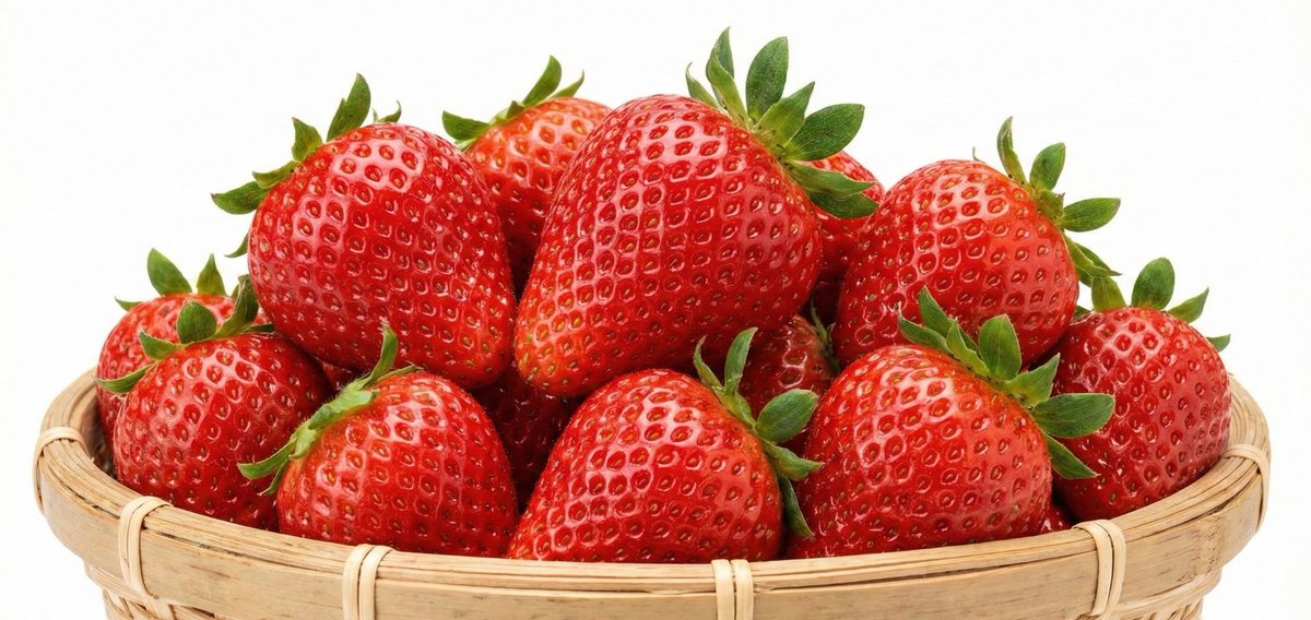 taka_fruits_'s tweet photo. アカウント開設記念✨

『福岡県産 あまおう🍓 約500g』
抽選で2名様にお送り致します

【応募方法】
・フォロー
・いいね
・リポスト
・『高原果樹園』コメントで当選率UP

応募締切:2月5日 https://t.co/nAwnf1H0US