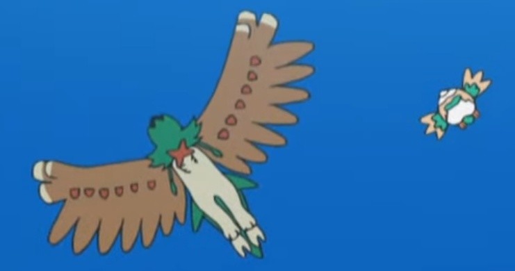 대왕올빼미                                            동구리.