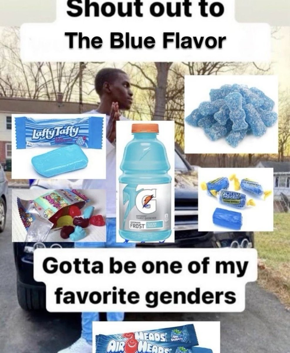 horse dentist (@equine__dentist) on Twitter photo 