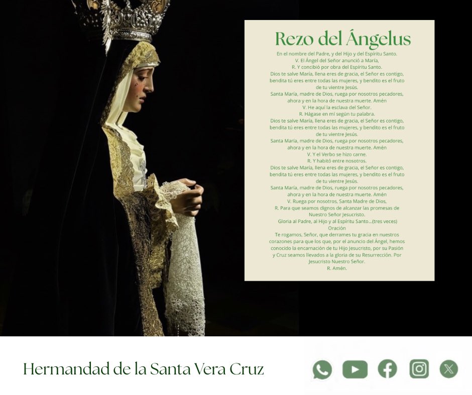 VeraCruzMarch's tweet photo. Rezo del Ángelus 

⏰ 12:00 horas 

🙏🏻 Oremos a la Santísima Virgen María, Madre del Señor y de la Iglesia. https://t.co/Dq4vX3DtrD