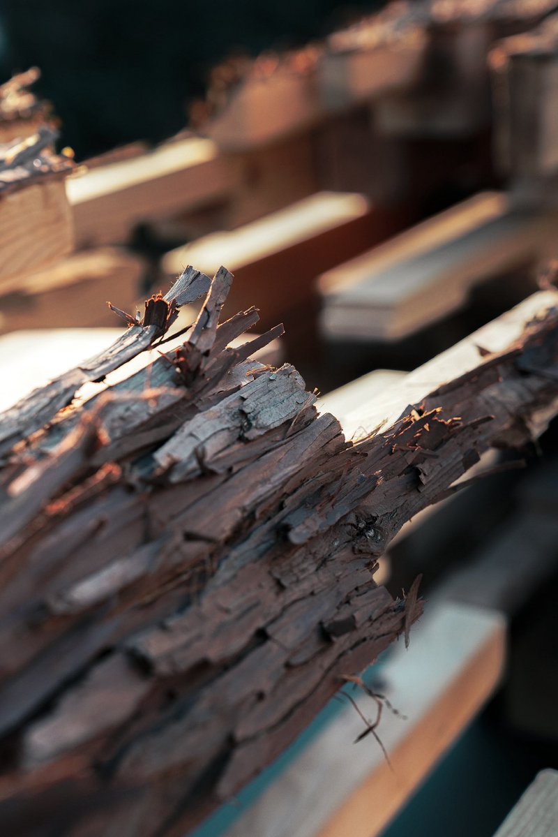 東京藝大の卒業制作展でこちらの作品を展示しています！
卒展の会期は2/1までですがぜひご覧いただきたいです！