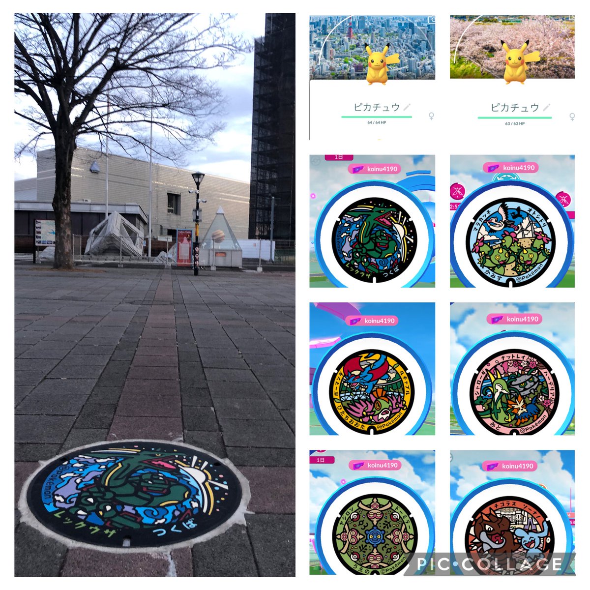 Koinu4190（🍑太郎） tweet media