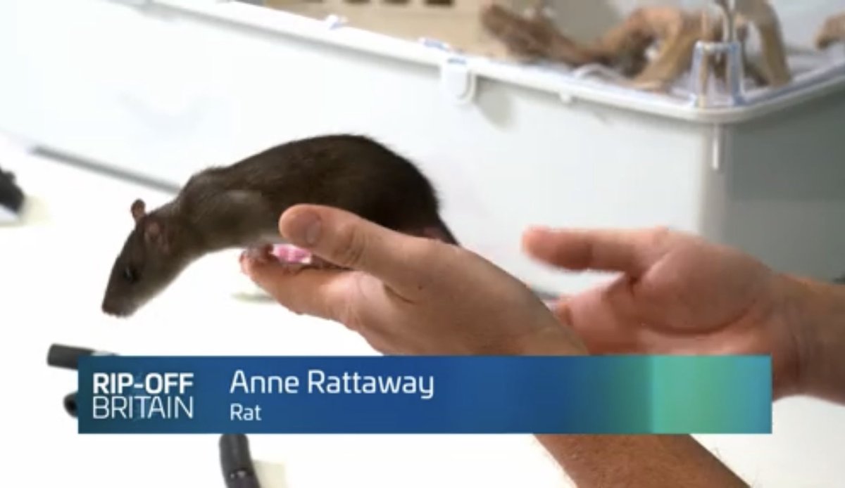 Incredible things happening on BBC1 this morning