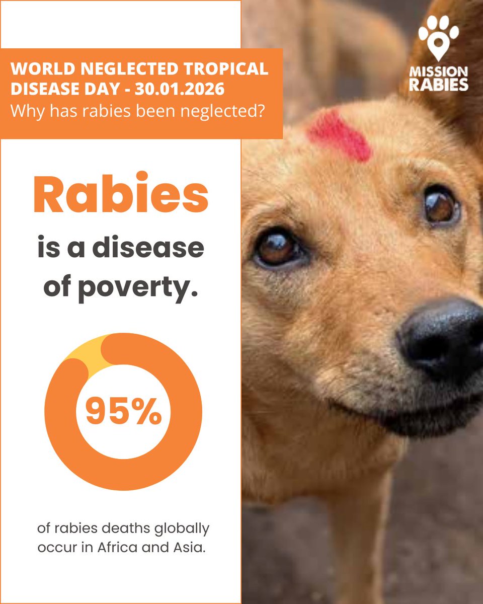 Luke Gamble tweet media