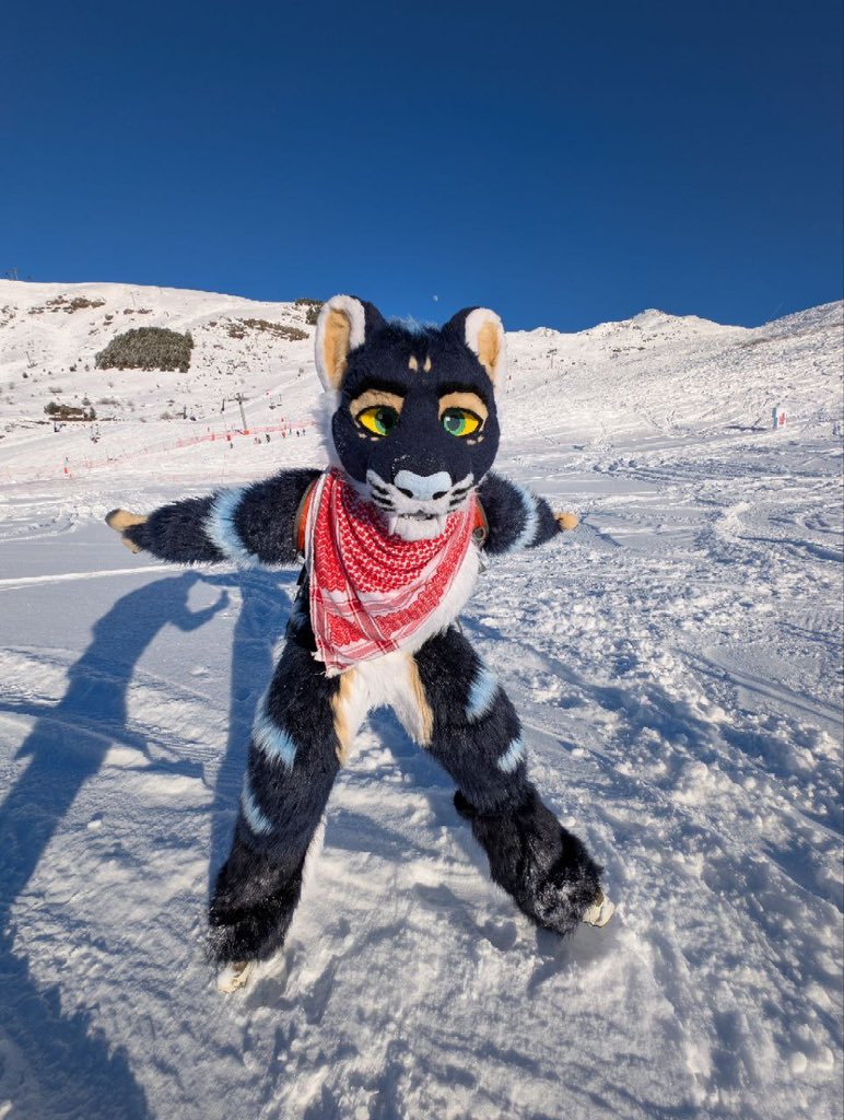 Cosmyd 🔜 NFC tweet media