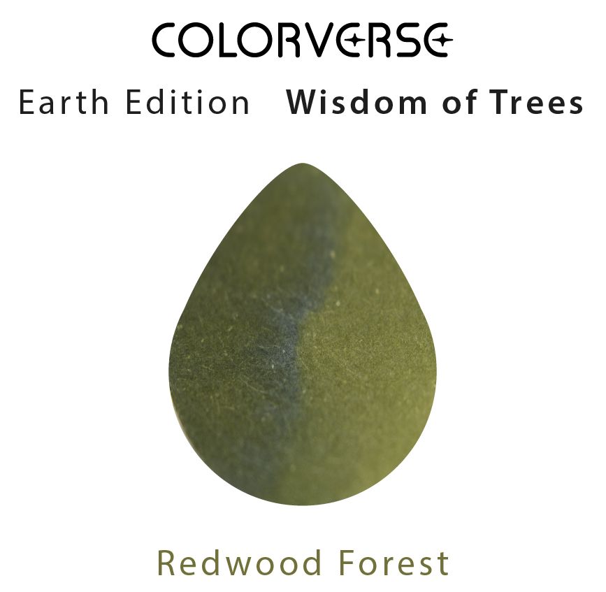 Colorverseinkjp's tweet photo. Earth Edition
【Wisdom of Trees】
56 Redwood Forest
インク色:グリーン系
容量:5ml
価格:990円(税込)
レッドウッドがうっそうとしげる森
『レッドウッドフォレスト』
色味は深みのあるモスグリーン🌿
S
#colorverseink #colorverse #カラーバース https://t.co/FmNekl1ycW