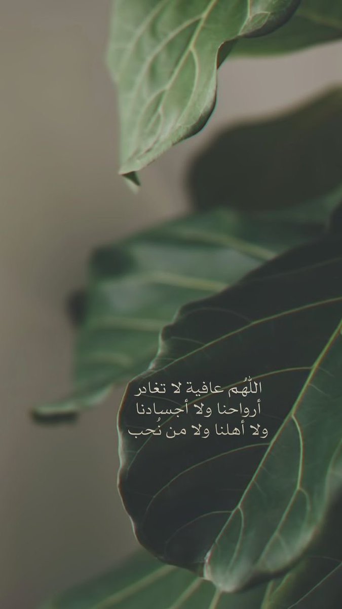 ،

اللهم عافية لاتُغادر 
أرواحنا ولا أجسادنا  
ولا أهلنا ولا من نُحب 
،
#اللهم_صل_وسلم_على_نبينا_םבםבﷺ 
#ساعه_استجابة