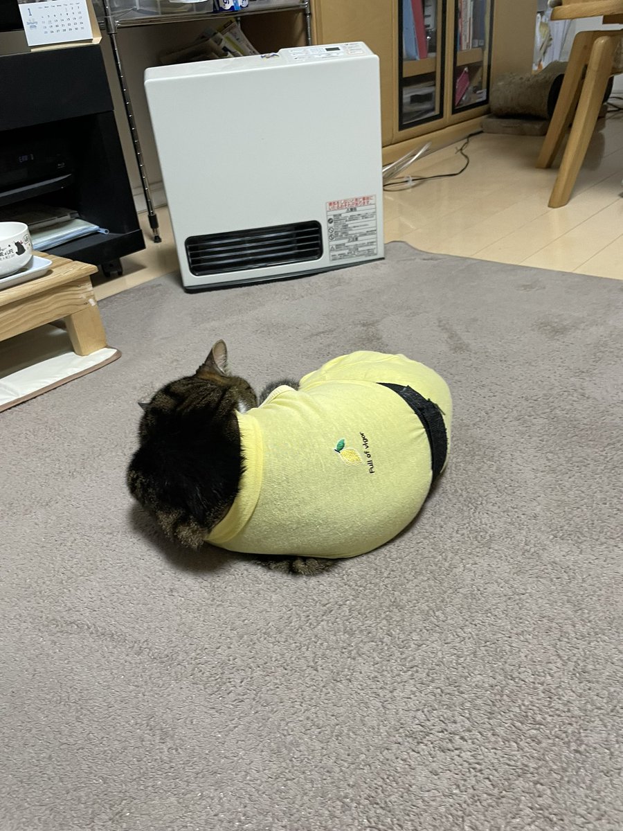 皆さんお疲れ様〜^_^