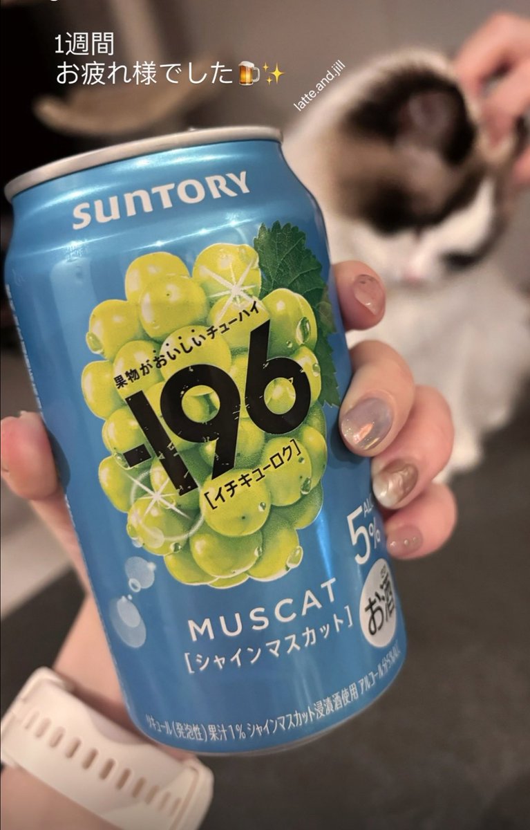 LatteToto's tweet image. 1週間おつかれさまでした🍺✨

#ragdoll  
#ラグドール 
#ねこ 
#cat