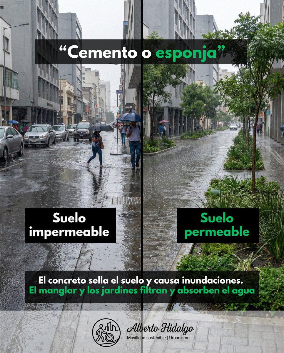 Alberto Hidalgo tweet media