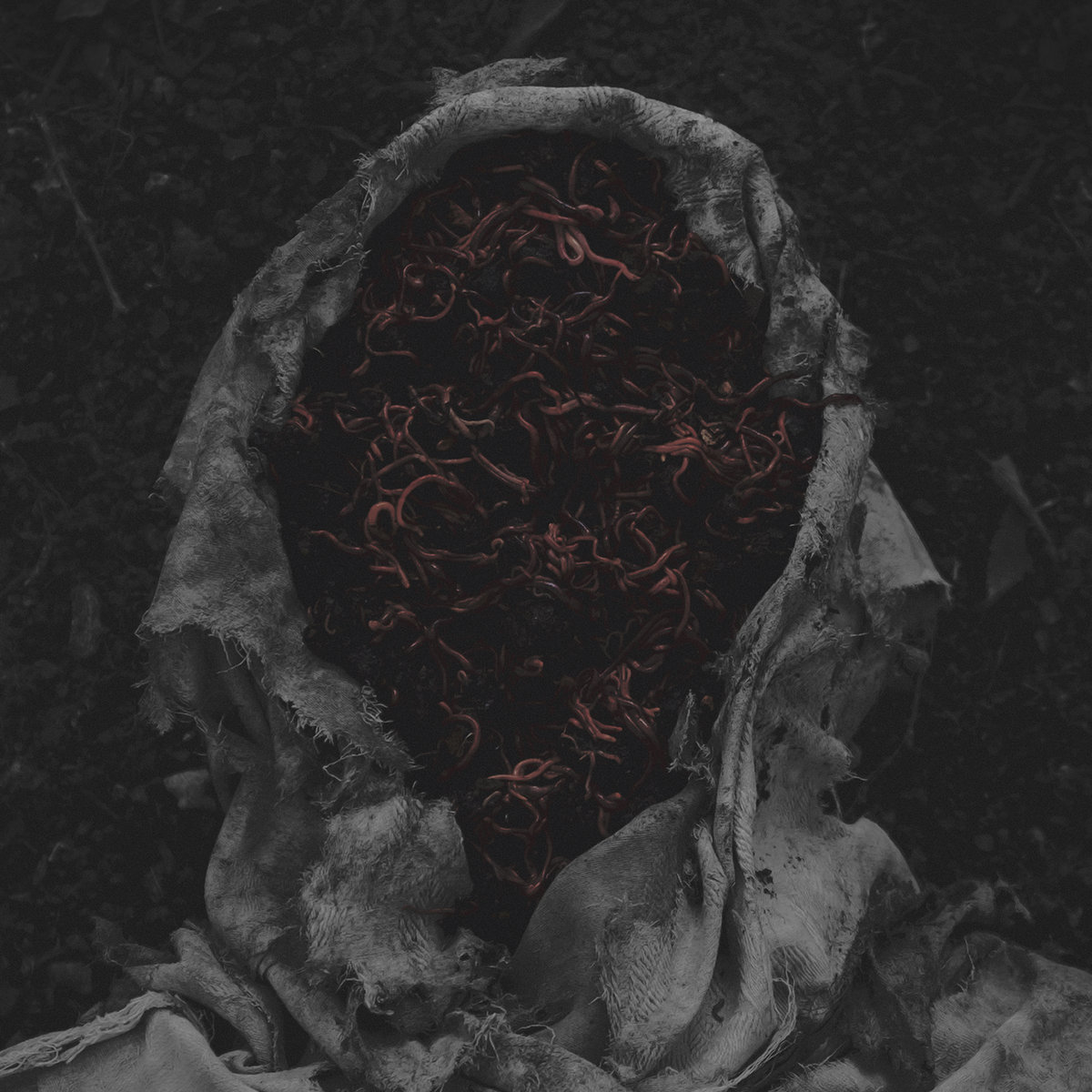 MarcusGoldman22's tweet photo. #Today Release
#gorrch´s Stillamentum
Un disco de unos 37 minutos que se sumerge en una intensidad claustrofóbica total: estructuras de acordes disonantes, riffs de tremolo punzantes, tensión sonora implacable y un enfoque técnico pero furioso que genera una atmósfera de oscuridad hostil y emotiva. Ideal para fans de black metal caótico, introspectivo y abrasivo. ¡Puro abismo helado y desesperación personal! 🖤

A 37-minute record that plunges into total claustrophobic intensity.
Dissonant chord structures, piercing tremolo riffs, relentless sonic tension, and a technical yet ferocious approach that forges an atmosphere of hostile, emotional darkness.
Perfect for fans of chaotic, introspective, abrasive black metal.
Pure frozen abyss and personal despair. 🖤

#blackmetal #metal #avantgardey #recorded #music #undergroundmusic #recordstore

Listen here:
https://t.co/HlcGOzMvw9